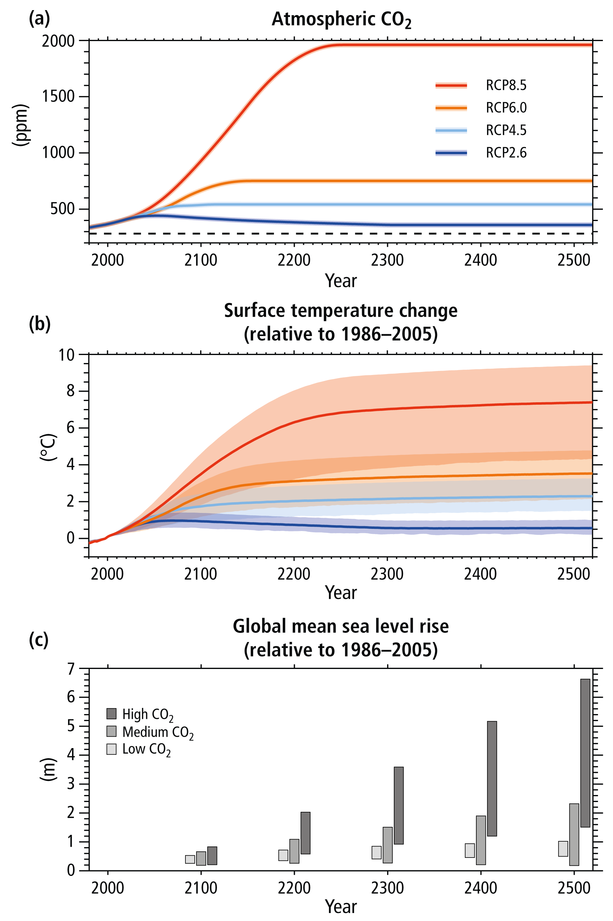 Rainfall and sea surface temperature: key drivers for occurrence